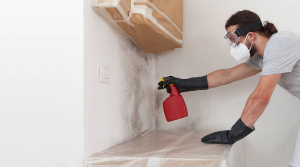Professional Commercial Mold Remediation technician working in Omena, MI