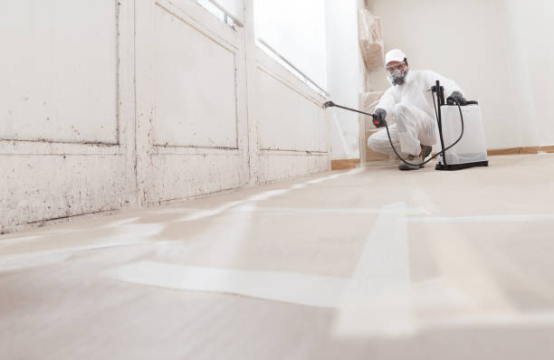 24/7 Emergency Commercial Mold Remediation experts in Omena, MI